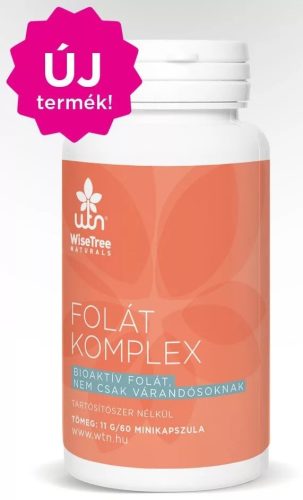 Folat komplex 60 minikapszula WTN