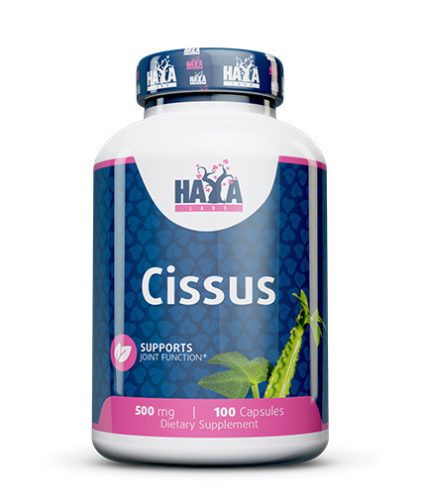 Haya Labs Cissus 500mg 100 kapszula